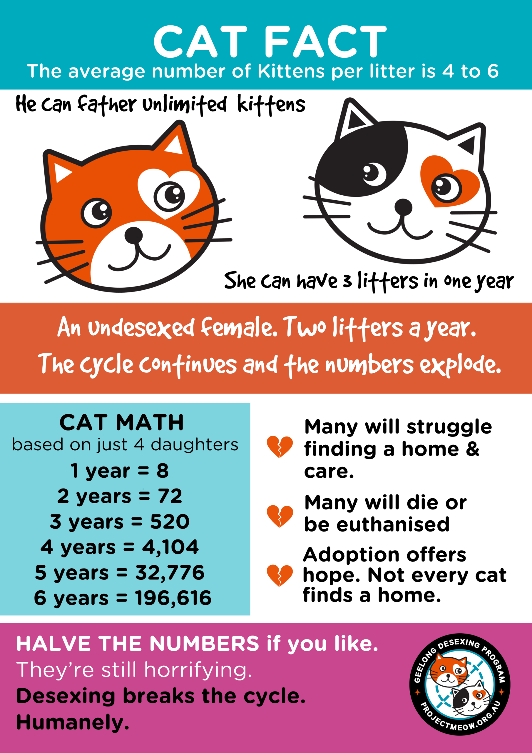 Infographic for why cat desexing matters